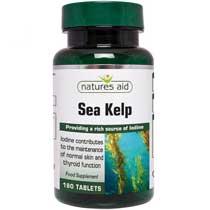 Sea Kelp (Φαιοφύκη) 